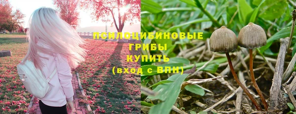 spice Абаза