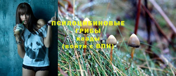 spice Абаза