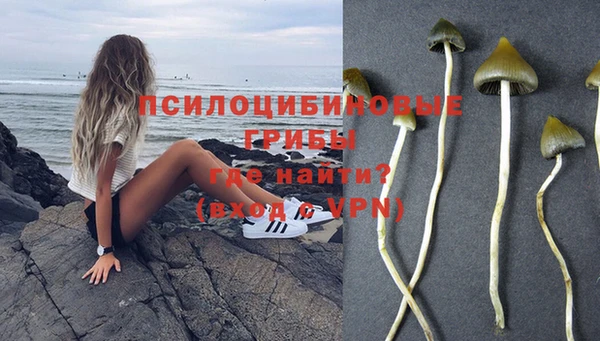 spice Абаза